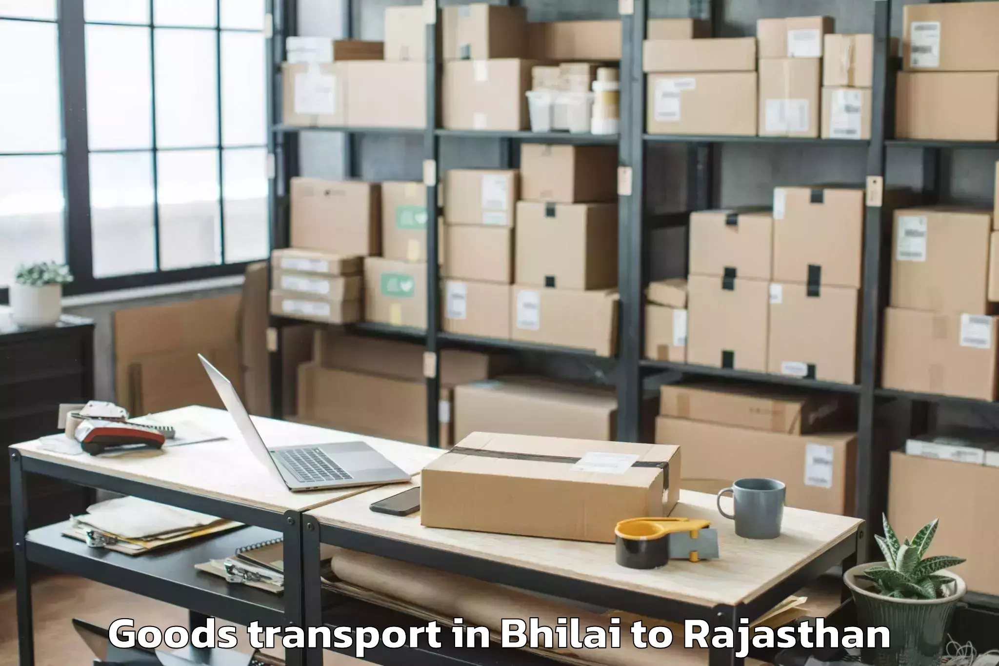 Top Bhilai to Sadri Goods Transport Available